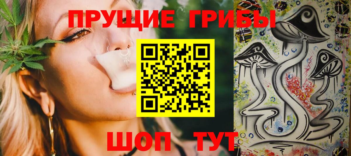 Галлюциногенные грибы MAGIC MUSHROOMS  Галлюциногенные грибы Psilocybine cubensis  Нижний Тагил  Вход с VPN 